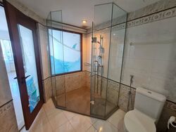 Cairnhill Plaza (D9), Apartment #490140621